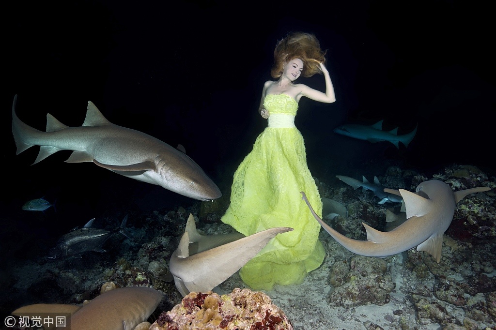 马尔代夫:美女下海与鲨鱼共舞 拍摄唯美大片