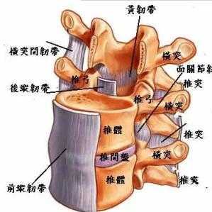健康 正文  27文章 900总阅读 分享到 微信"扫一扫" 分享到朋友圈