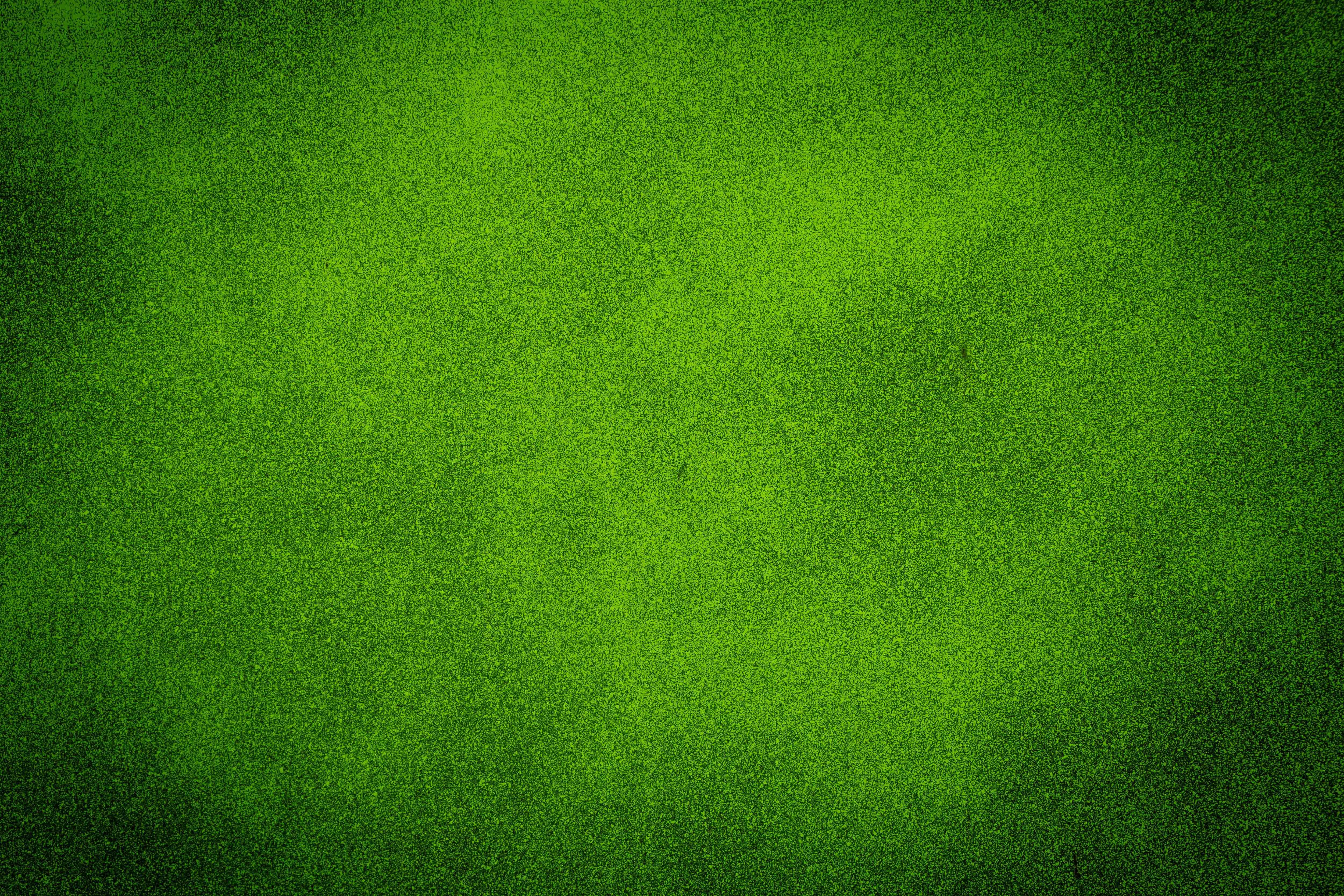 自然绿草超清壁纸,自然风光图片背景,没几个看过的?