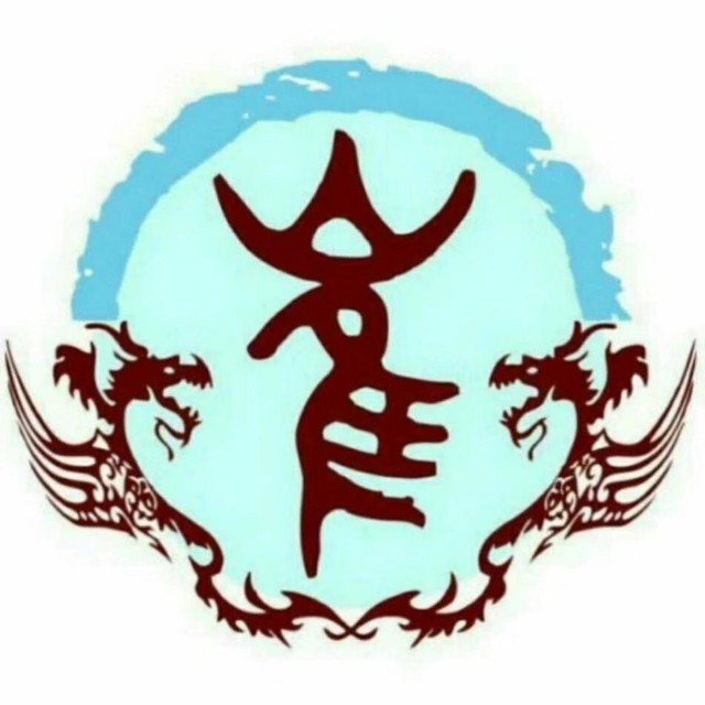 展开剩余 55 崔家桐荣获河南省传统武术锦标赛男子组陈氏太极拳三等