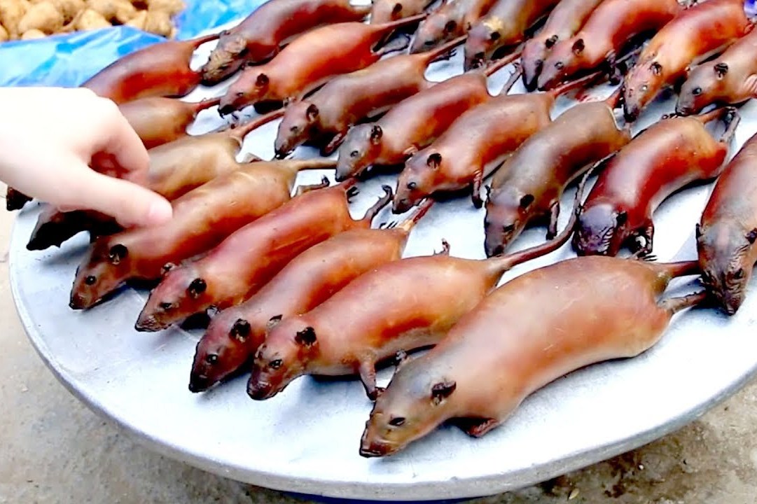实拍:越南人为什么喜欢吃烤老鼠,这样的美食你敢吃吗