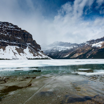 惨烈！5月2日8时, 绝望的消息再从美国传来