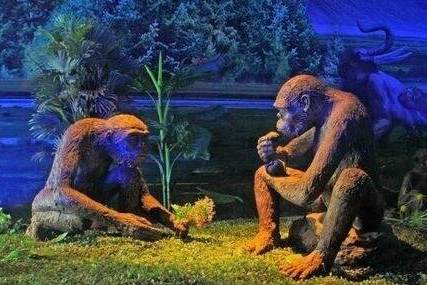 《人类源流史》元谋猿人:元谋人生活在距今170±10万年
