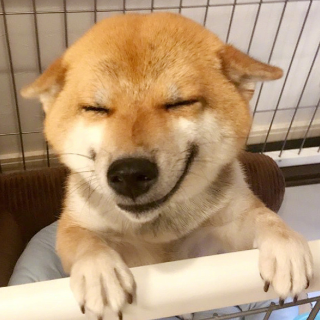 开口大笑