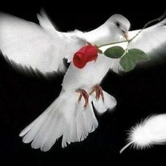 北斗导航系统比GPS更强，美军也经常使用，只差