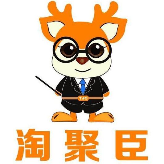 淘聚臣电商