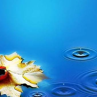 BIM二级考试经验