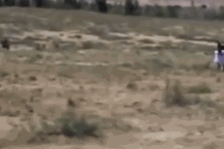 壁纸 建筑 文明遗迹 324_216 gif 动态图 动图