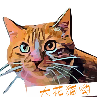 大花猫哟
