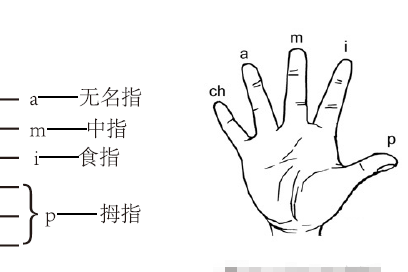 简谱常用符号_简谱常用符号图解(3)