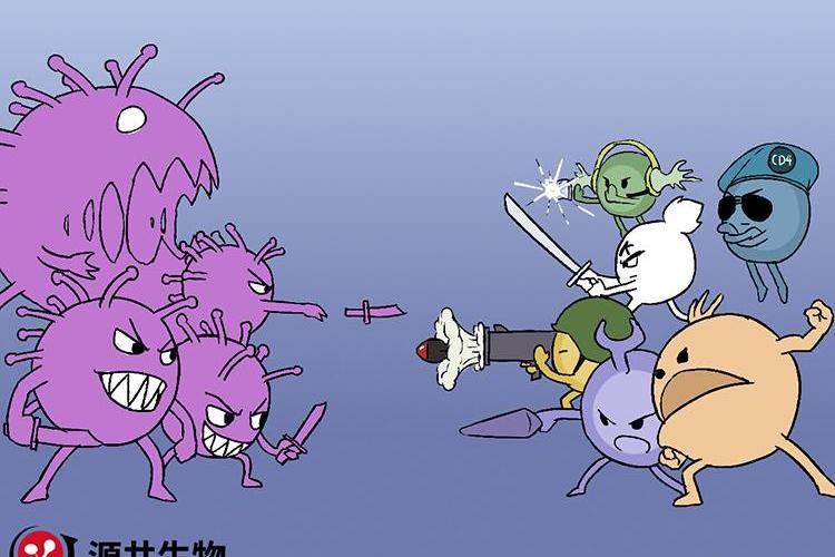 关于新冠病毒轻症患者的免疫系统战斗过程【漫画科普】