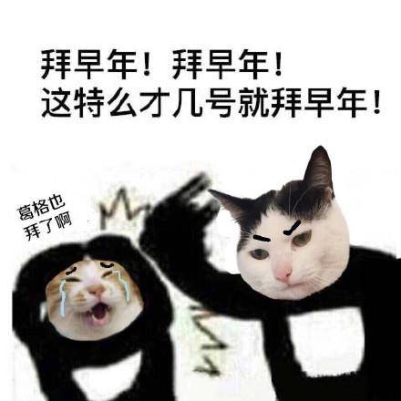 拜早年表情包合集|给你拜个早年,红包拿来谢谢