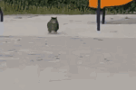 搞笑gif:大娘,估计你也忍了这老头很多年了吧