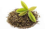 茶叶有保质期吗?