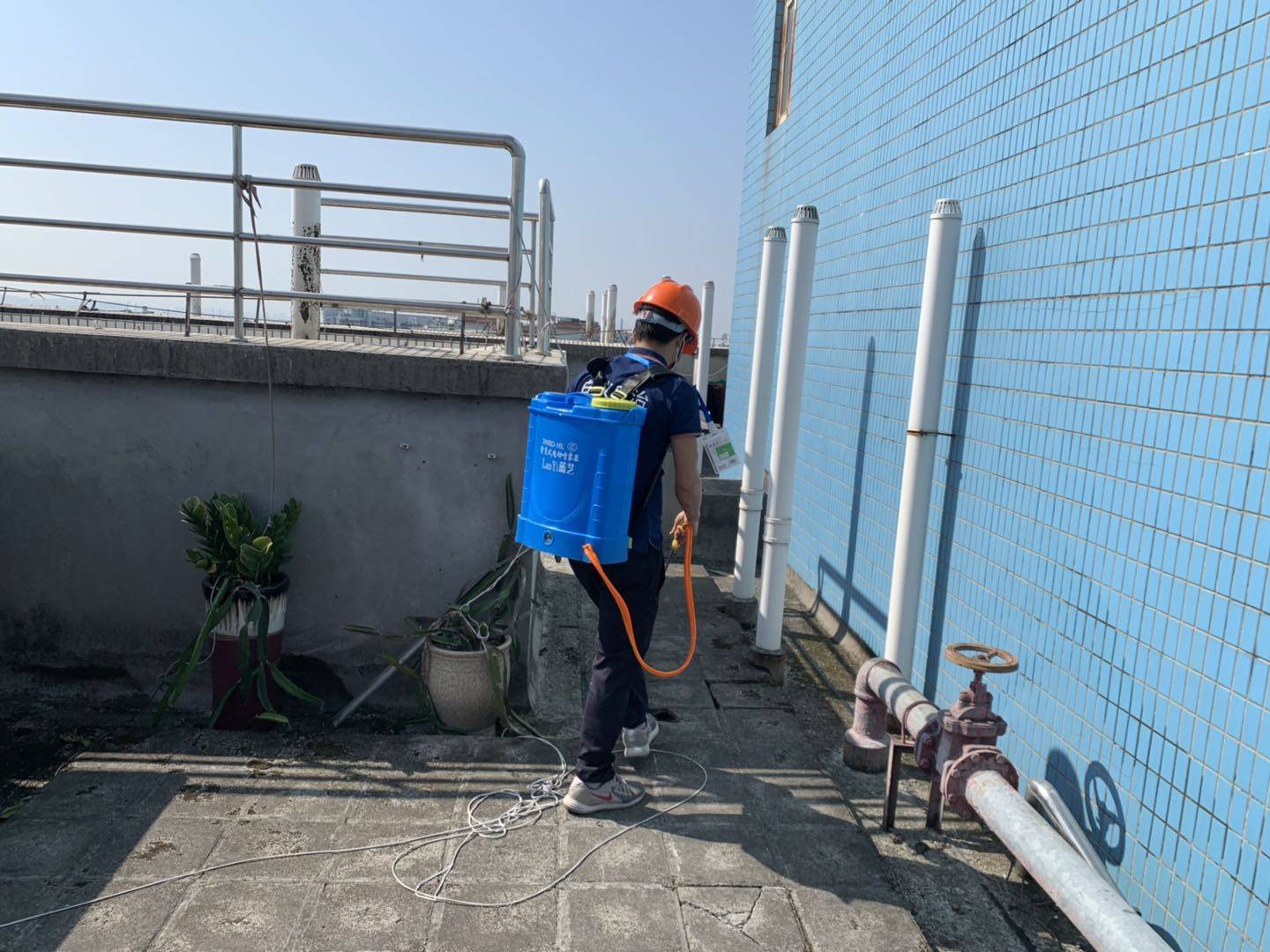 广州市海珠区晓城大厦白蚁防治