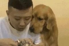 趴在地上笑表情分享展示