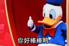 唐老鸭表情包:你好棒棒鸭,今天也要加油鸭