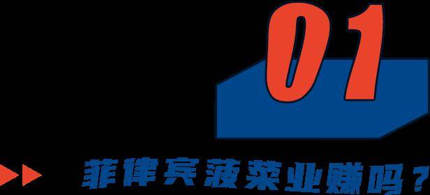 在菲律宾网络博彩公司工作的第9天，我逃跑了