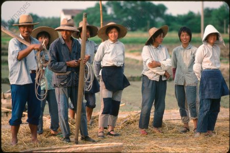 老照片:1982年的苏州农村  农民伯伯种田好辛苦