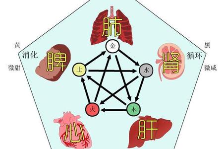 观面色察觉五脏好不好!