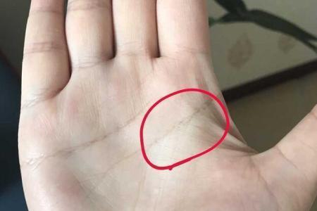 "离婚相": 手相一马平川, 不愁富贵;天纹断裂, 注定二婚