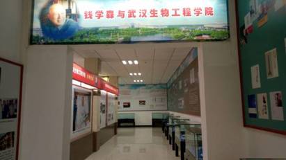 高校基建 | 园林庭院式建筑赏析——武汉生物工程学院钱学森纪念馆-搜狐大视野-搜狐新闻