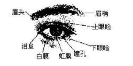 麻衣相法面相眼睛