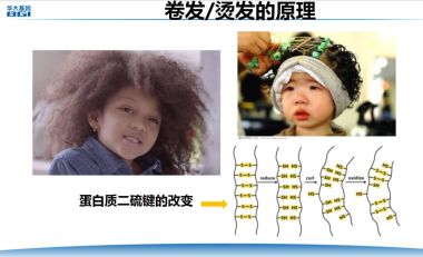 生活中的蛋白质，你知多少-搜狐大视野-搜狐新闻