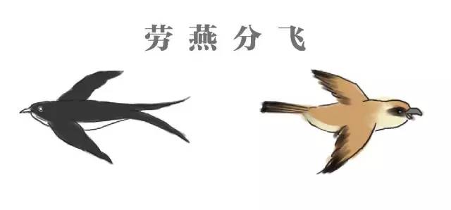 什么鸟什么飞的成语_成语故事图片(3)