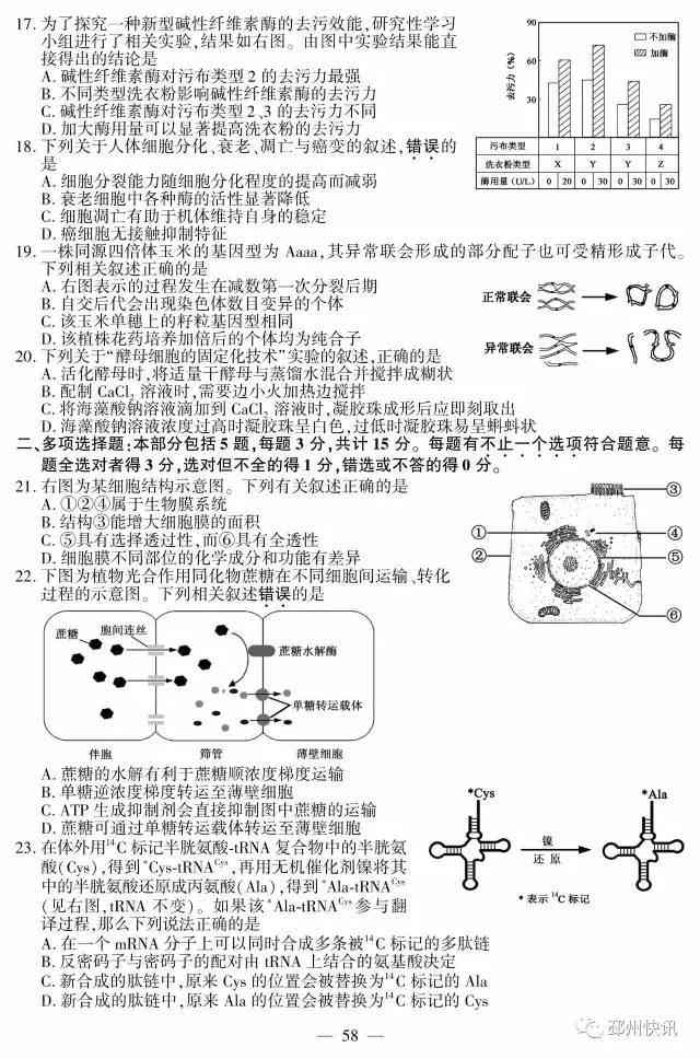 快对答案