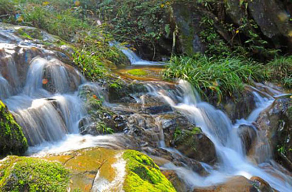 萍乡十佳森林旅游景点出炉了,快看看有没有你家乡