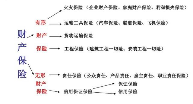 【干货】我们终于开始讲财产险啦