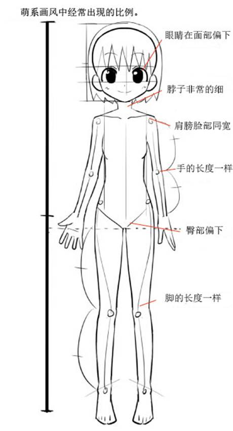 这里需要注意的是,原来想要画人物的全身画时需要参考很多的人物素描