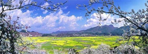 在黔南布依族苗族自治州,这里有金海雪山景区,大黄果树旅游区,贵州