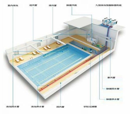 恒温泳池是什么原理_泳池恒温