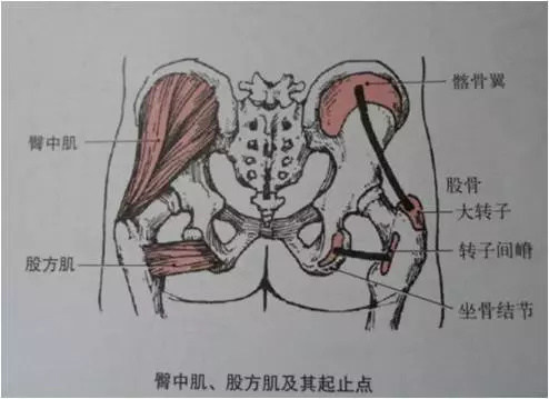 解剖讨论会猜成语_看图猜成语(3)