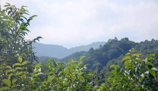 四川绵阳市有多少人口_四川绵阳市地图