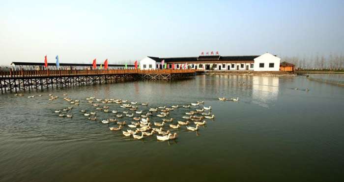 大同湖水乡农庄大同湖水乡农庄坐落在洪湖市大同湖管理区,紧邻汉洪