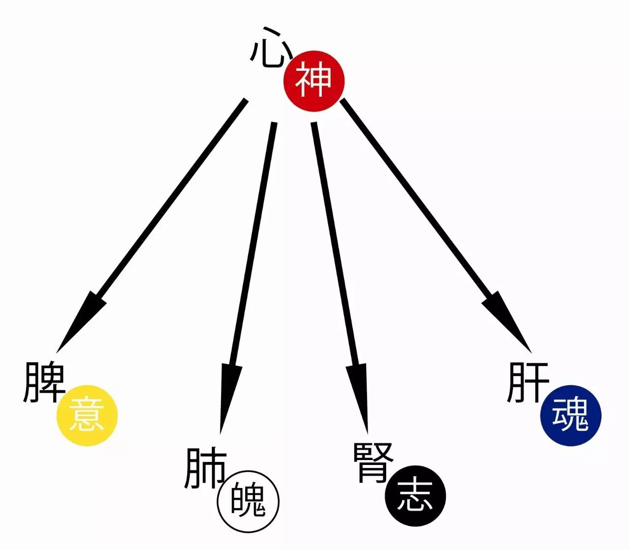 期,怀孕期,育儿期,更年期这几个非常阶段,自律神经和体内荷尔蒙失调