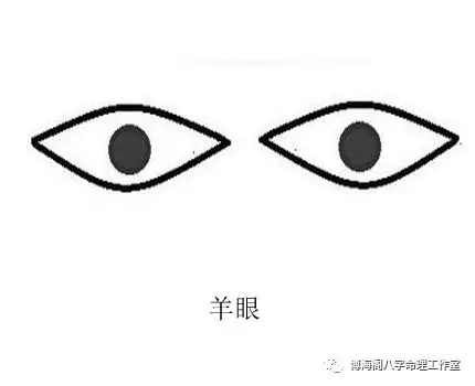 面相中各种眼睛形状代表什么?最全的眼睛相术
