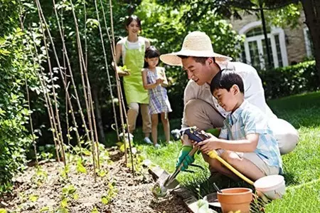 乐鱼体育家庭菜园十款：食与美同在(图1)