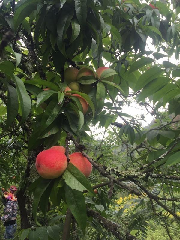 专栏英子露营札记之一露营嵩明山冲水库