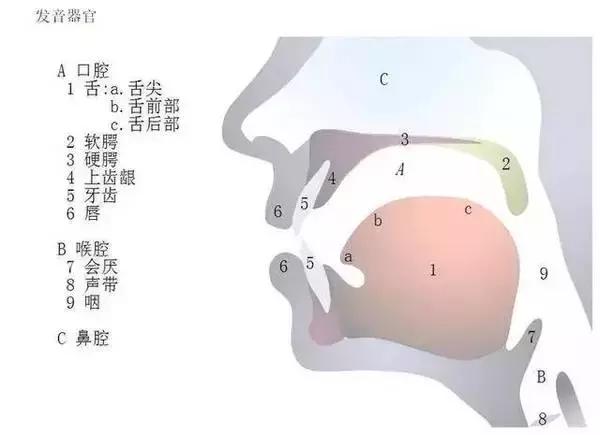 四人口腔音_口腔溃疡图片