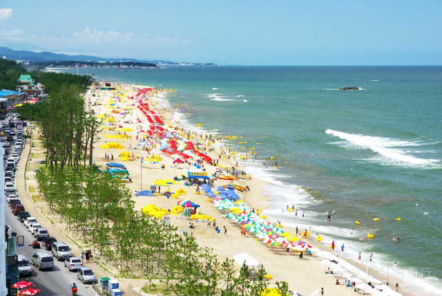 韩国春夏最值得去的江陵海边拍出一张《鬼怪》画报