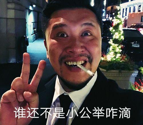 刘亦菲保镖比马云还磕碜马云回应怪我咯