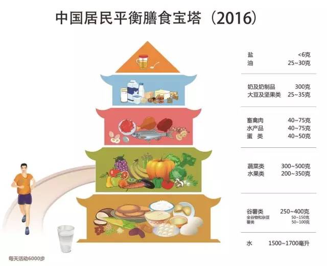 营养科专家诠释平衡膳食的健康饮食指南