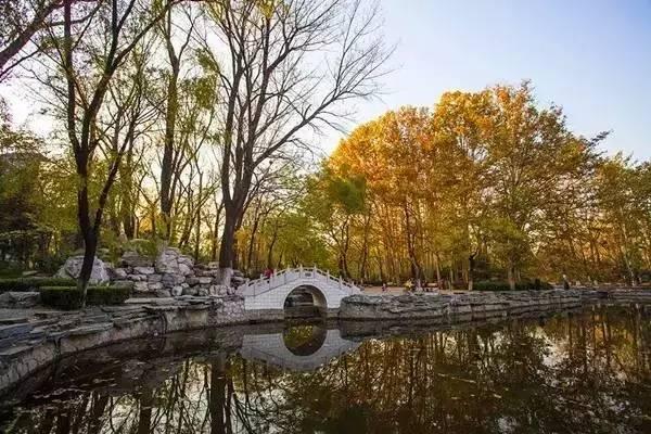 北京航空航天大学校园 北航学院路校区教学区西侧的"绿园"中湖光,在