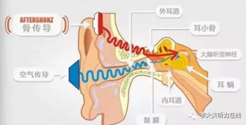 人口耳膜_耳膜穿孔图片