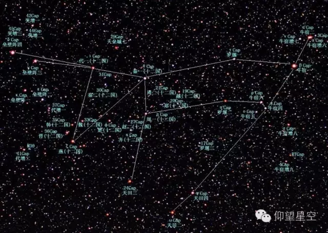 十二星座之摩羯:开始于疼爱,结束于伤痛