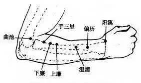 健康 正文 下廉在前臂背面桡侧,当阳溪与曲池连线上,肘横纹下4寸 功能